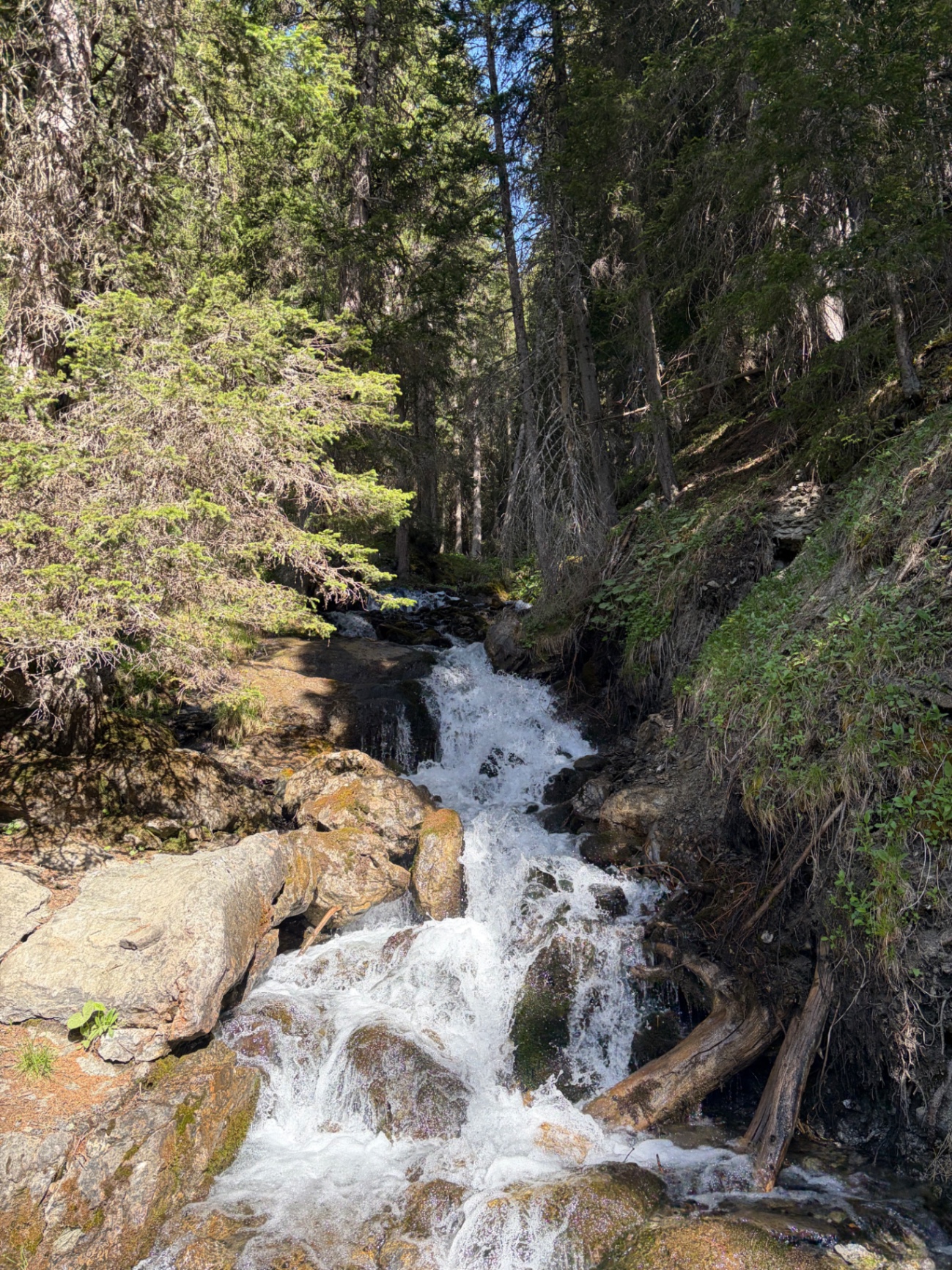 Wasserfall im Wald