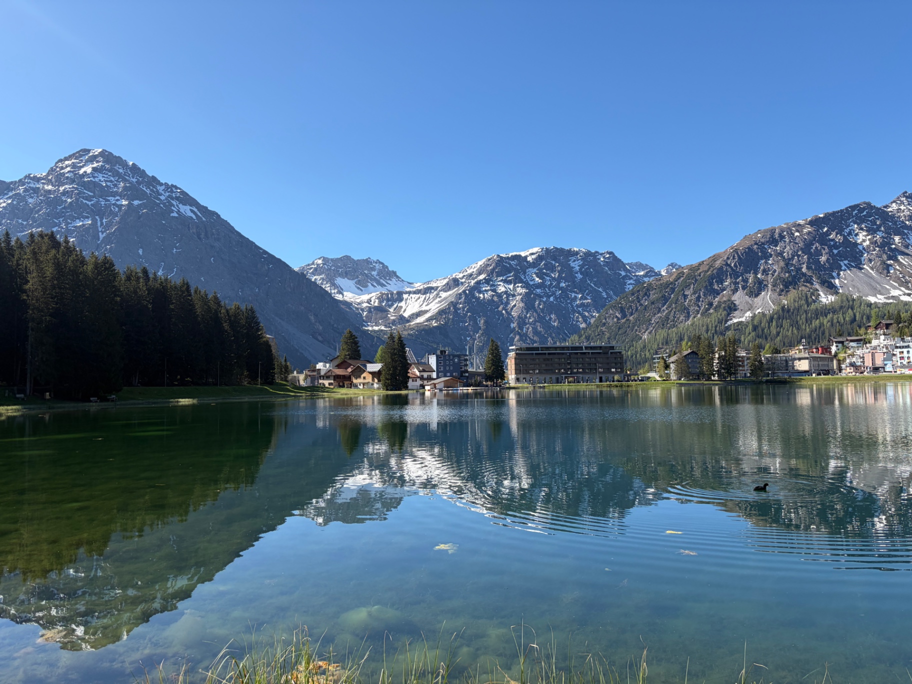 Obersee mit Spiegelung